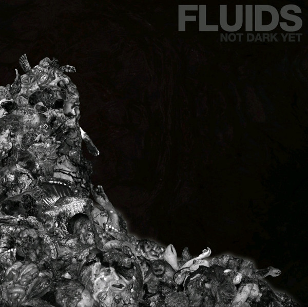 Fluids – Not Dark Yet (2021)