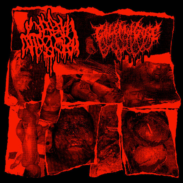 Labia Majora / Golem Of Gore – Split CDr (2021)