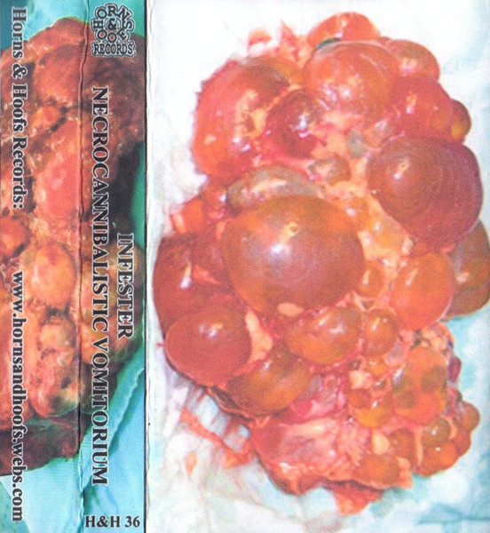 Necrocannibalistic Vomitorium / Infester – Split Tape (2014)