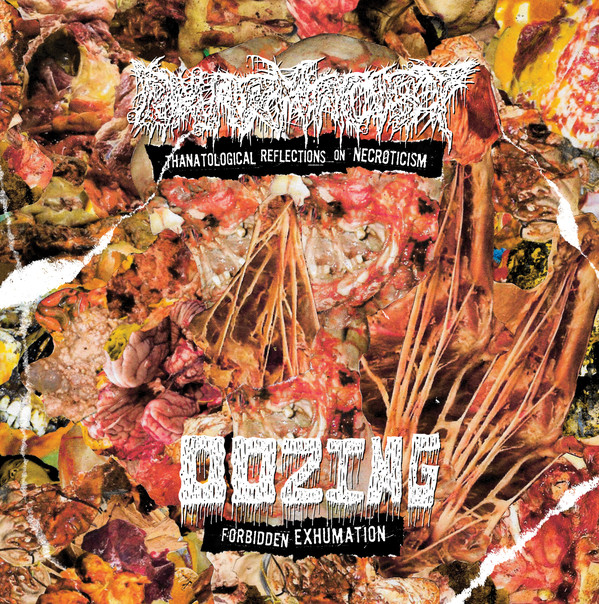 Oozing / Pharmacist – Split CD (2020)