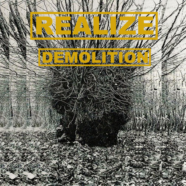 Realize – Demolition (2017)