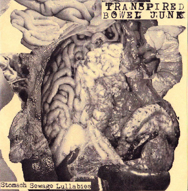 Transpired Bowel Junk ‎– Stomach Sewage Lullabies (2013)