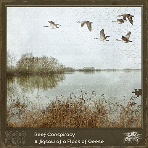 Beef Conspiracy – A Jigsaw Of A Flock Of Geese (2016)