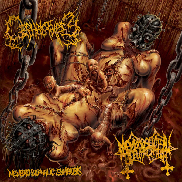 Cephalotripsy / Membro Genitali Befurcator – Split 7″ (2012)